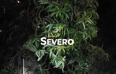 Imagem 4: Apartamento à venda no bairro Colubande - São Gonçalo/RJ