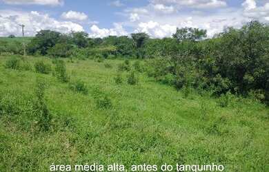 Imagem 11: Sítio Chácara 20.000m2 Aceito Carro e Casa Artur Nogueira Rico em Água Fundos Poquinha