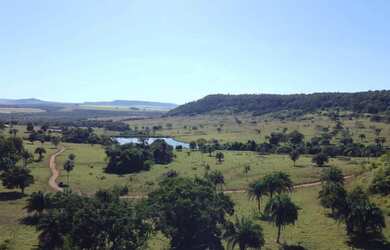 Imagem 2: Fazenda de 125 alq. Em Caiapônia Go. 100 alq de pasto 15 milhões