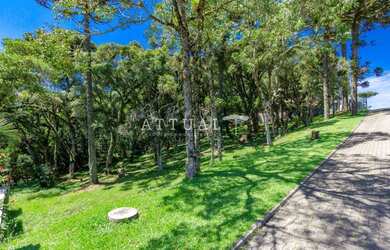 Imagem 8: TERRENO COM FUNDOS PARA APP