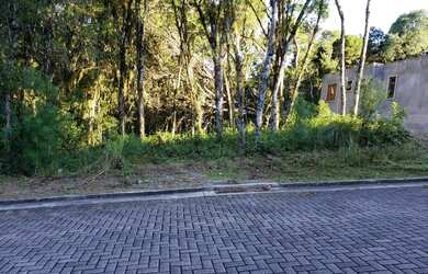 Imagem 3: Terreno - Bairro Carniel. 420m² de Área