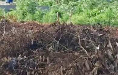Imagem: O terreno possui 1.100m² de Área e está localizado em Terra