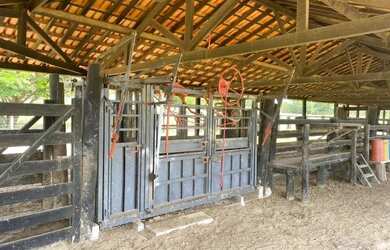 Imagem 8: Fazenda Shangrilá Água Abundante Goiás