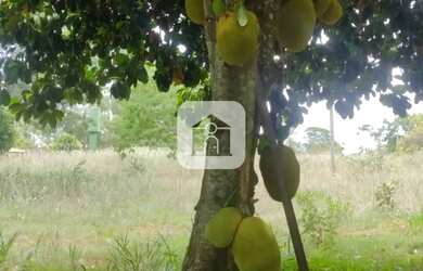 Imagem 9: Chácara para venda no Condomínio Chácaras Silverado