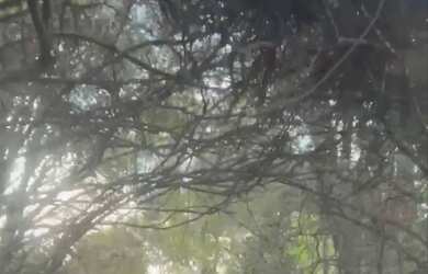 Imagem 2: Vendo. 1.000m² de Área