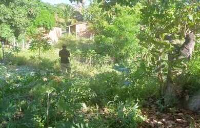 Imagem 3: Terreno na areia branca, mosqueiro