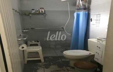 Imagem 10: São Paulo - Casa Padrão - Mooca