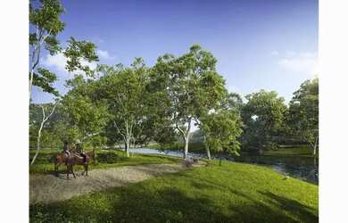 Imagem 16: Guarajuba Beach e Country - Condomínio de luxo com conceito fazenda 15min de Praia do Fort