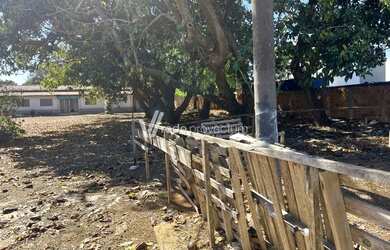 Imagem 3: Área na Av. José Paulíno em Paulínia