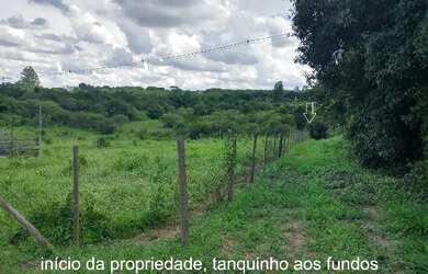 Imagem 3: Sítio Chácara 20.000m2 Aceito Carro e Casa Artur Nogueira Rico em Água Fundos Poquinha