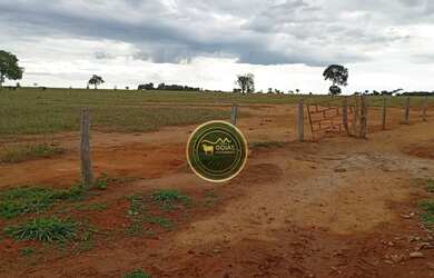 Imagem 16: 197 Alqueires Novo Brasil