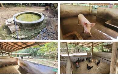 Imagem: A chácara e está localizado em Pricumã, Boa Vista à venda