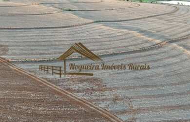 Imagem 4: Sítio com 17 alqueires terra vermelha em Quadra/SP