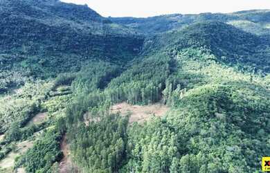 Imagem 4: Sítio / Chácara para Venda em Nova Petrópolis, Arroio Paixão