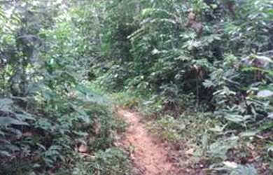 Imagem 3: Area rural 200 hectares. 200m² de Área