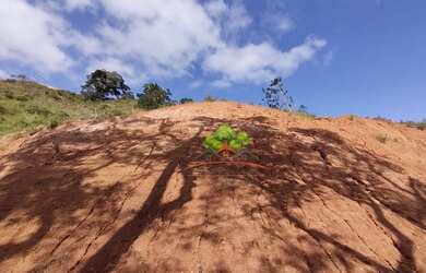 Imagem 2: Terreno à venda, 904 m² por R$ 88.888,00 - Balança - Simão Pereira/MG