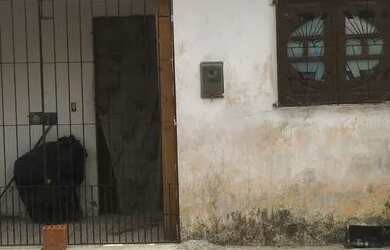 Imagem: A casa possui 2 Dormitórios, 1 Banheiro e está localizado