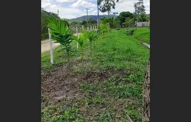 Imagem: A chácara possui 13.000m² de Área e está localizado em