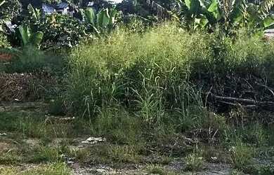 Imagem: O terreno está localizado em Flamengo, Maricá à venda por