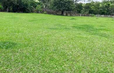 Imagem: O terreno está localizado em Centro, Mairiporã à venda por