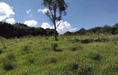 Imagem 9: Chácara na Mulada