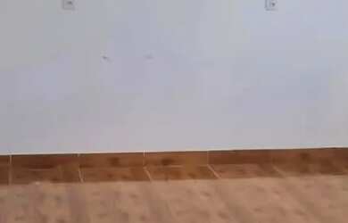 Imagem 7: Aluga-se apartamento com excelente localização