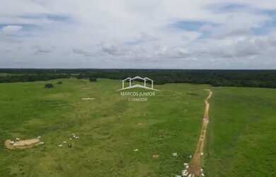 Imagem 10: EXCELENTE FAZENDA DE PLANTIO DE BANANA E PECUARIA NO NORTE DE MINAS
