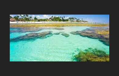 Imagem 15: CASA LOCAÇÃO TEMPORADA EM PRAIA DO FORTE