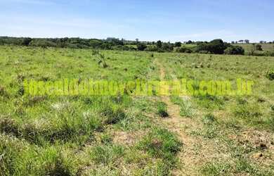 Imagem 10: Sítio 2,50 hectares, muita água, entre Uberlândia e Monte Alegre