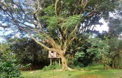 Imagem: O terreno possui 1.000m² de Área e está localizado em Chácara