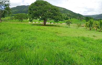 Imagem: A fazenda possui 125m² de Área e está localizado em Cocalzinho