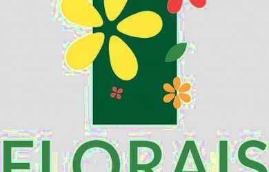 Imagem: O terreno possui 439m² de Área e está localizado em Morada