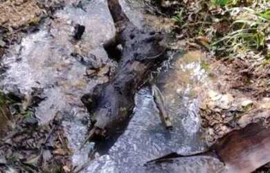 Imagem: A chácara possui 8.000m² de Área e está localizado em Guarani