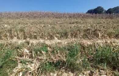 Imagem 4: Ag7- lotes para sua chacara a 3km do asfalto em atibaia