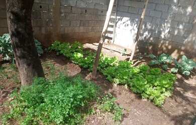 Imagem 11: Vendo essa casa. Varanda, Área de serviço, 250m² de Áreae3 Vagas na...