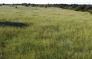 Imagem: A fazenda possui 1.033m² de Área e está localizado em Flores