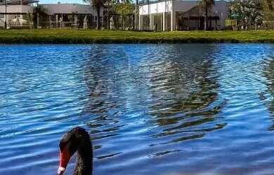 Imagem 4: Vendo Lote no Condomínio Gran Royalle Pirâmide