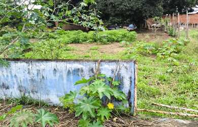 Imagem: O terreno possui 3000m² de Área e está localizado em Ceilândia