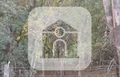 Imagem: A fazenda possui 6.200m² de Área e está localizado em Shopping