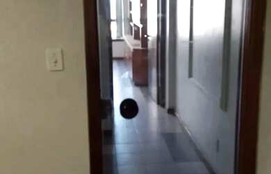 Imagem 5: SALA COMERCIAL SEMI MOBILIADA - 30m² - R$ 65.000