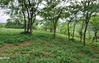 Imagem 10: FAZENDA EM BOA VISTA DO TUPIM - 1200 TAREFAS