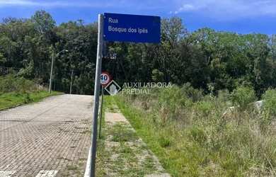 Imagem 14: Loteamento Bosque das Araucárias - Linha Imperial