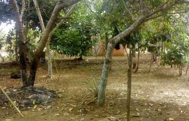 Imagem: A chácara possui 800m² de Área e está localizado em Centro