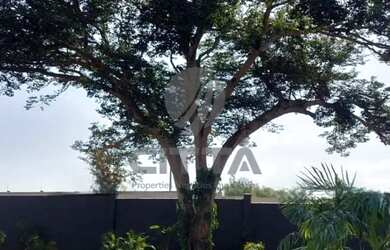 Imagem 14: Terreno a venda, 300m2, Cond Resid PortoVille São Luiz, em Betel - Paulínia/SP