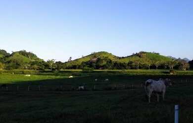Imagem 8: Fazenda 120 Alqueires - Fundão