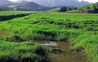 Imagem 13: Fazenda 120 Alqueires - Fundão