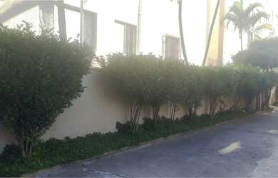 Imagem 15: Apartamento para aluguel e venda 60 m² Lauzane Paulista