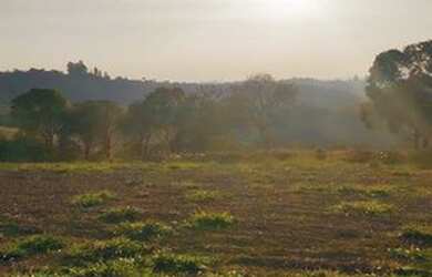 Imagem 10: Lote/Terreno para venda com 500 metros quadrados em Jardim das Cerejeiras...