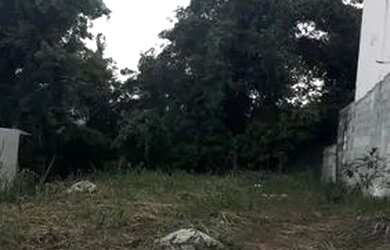 Imagem 2: Terreno plano. 200m² de Área