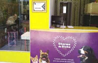 Imagem 11: Pet shop. 